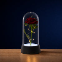 Rose éternelle LED sous cloche en verre, décoration lumineuse Amidenuit