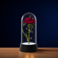 Rose éternelle LED sous cloche en verre, décoration lumineuse Amidenuit